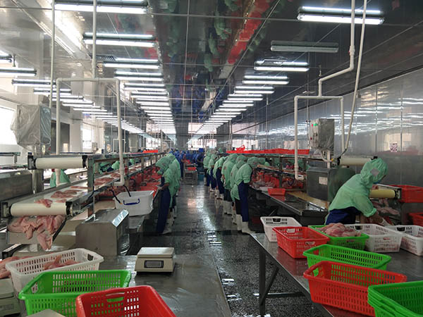 %E8%BD%A6%E9%97%B4%20products%20lines.jpg