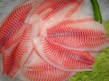 %E7%BD%97%E9%9D%9E%E9%B1%BC%E7%89%87%20tilapia%20fillets%20CO.jpg